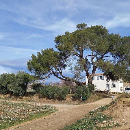Rieux-Minervois Domaine Saint Augustin 빌라 외부 사진
