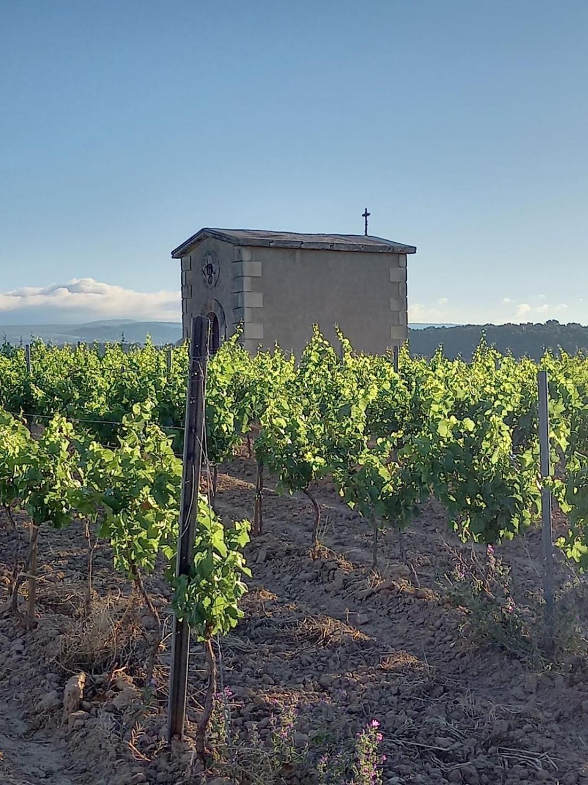Rieux-Minervois Domaine Saint Augustin 빌라 외부 사진