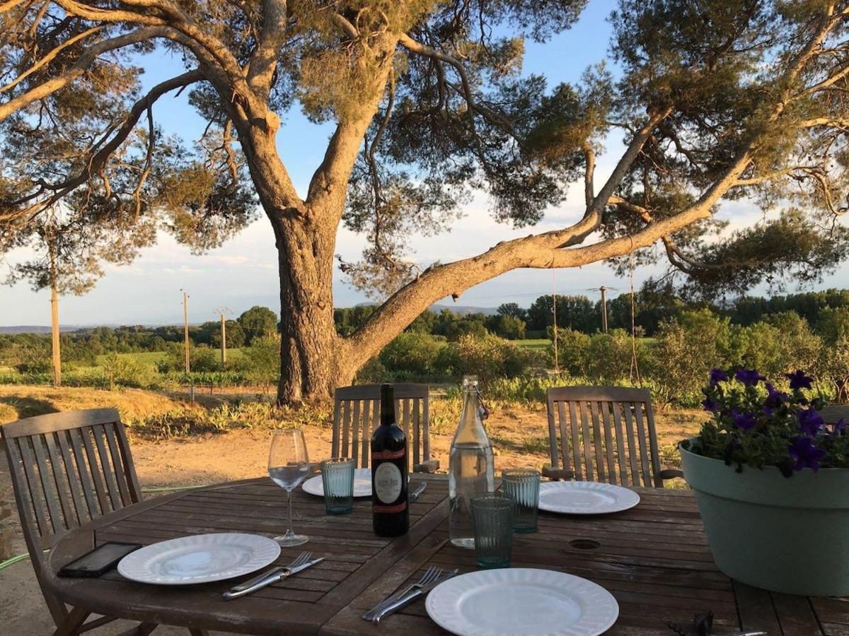 Rieux-Minervois Domaine Saint Augustin 빌라 외부 사진