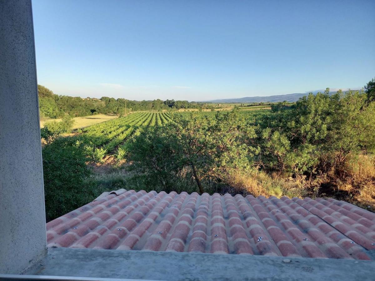 Rieux-Minervois Domaine Saint Augustin 빌라 외부 사진