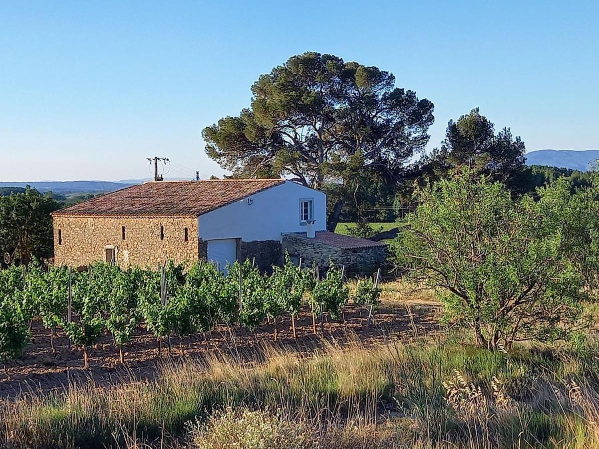 Rieux-Minervois Domaine Saint Augustin 빌라 외부 사진
